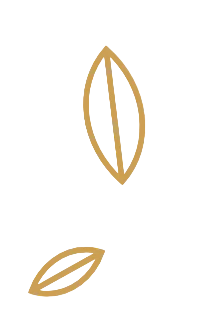 elemento grafico, foglioline